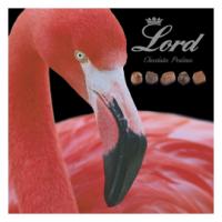Шоколадные конфеты с начинками Фламинго LORD, 175 гр
