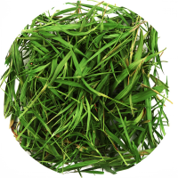 Листья бамбука_1