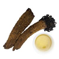 Улун Габа в горькой тыкве_6