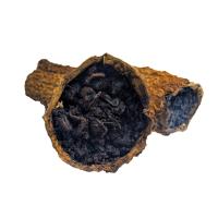 Улун Габа в горькой тыкве_3