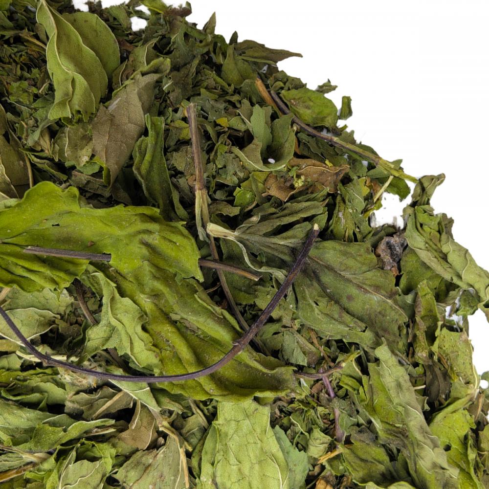 Мята (крупный лист) Премиум