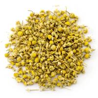 Ромашка (головки)_1