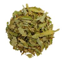 Липа резанная_0