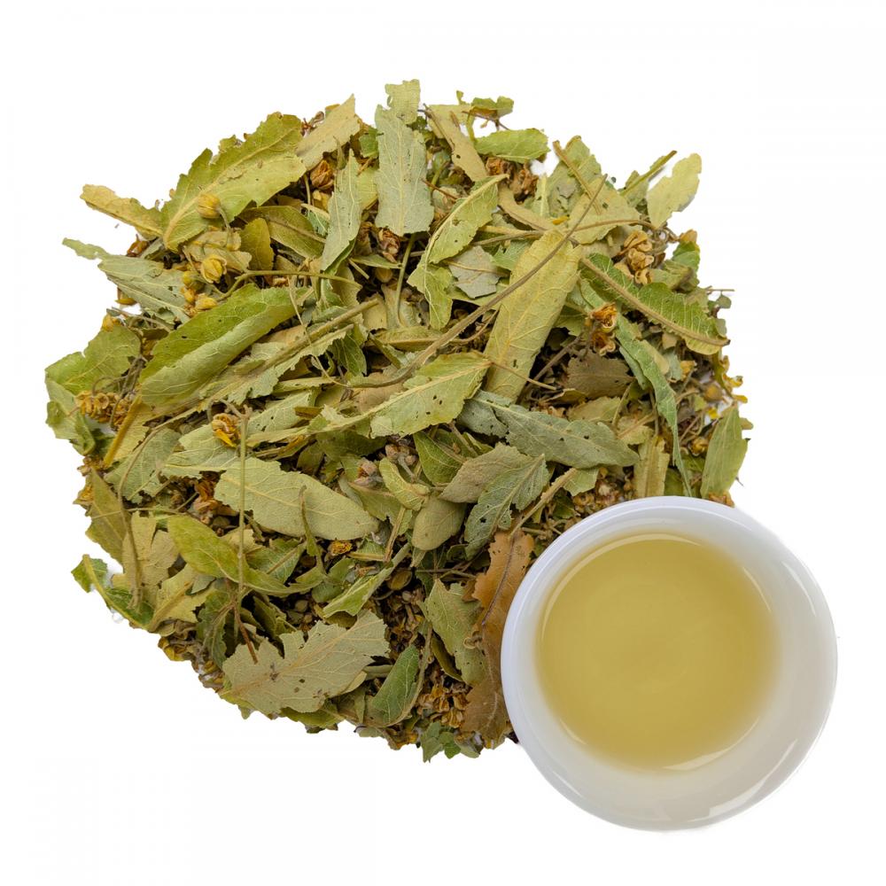 Липа резанная