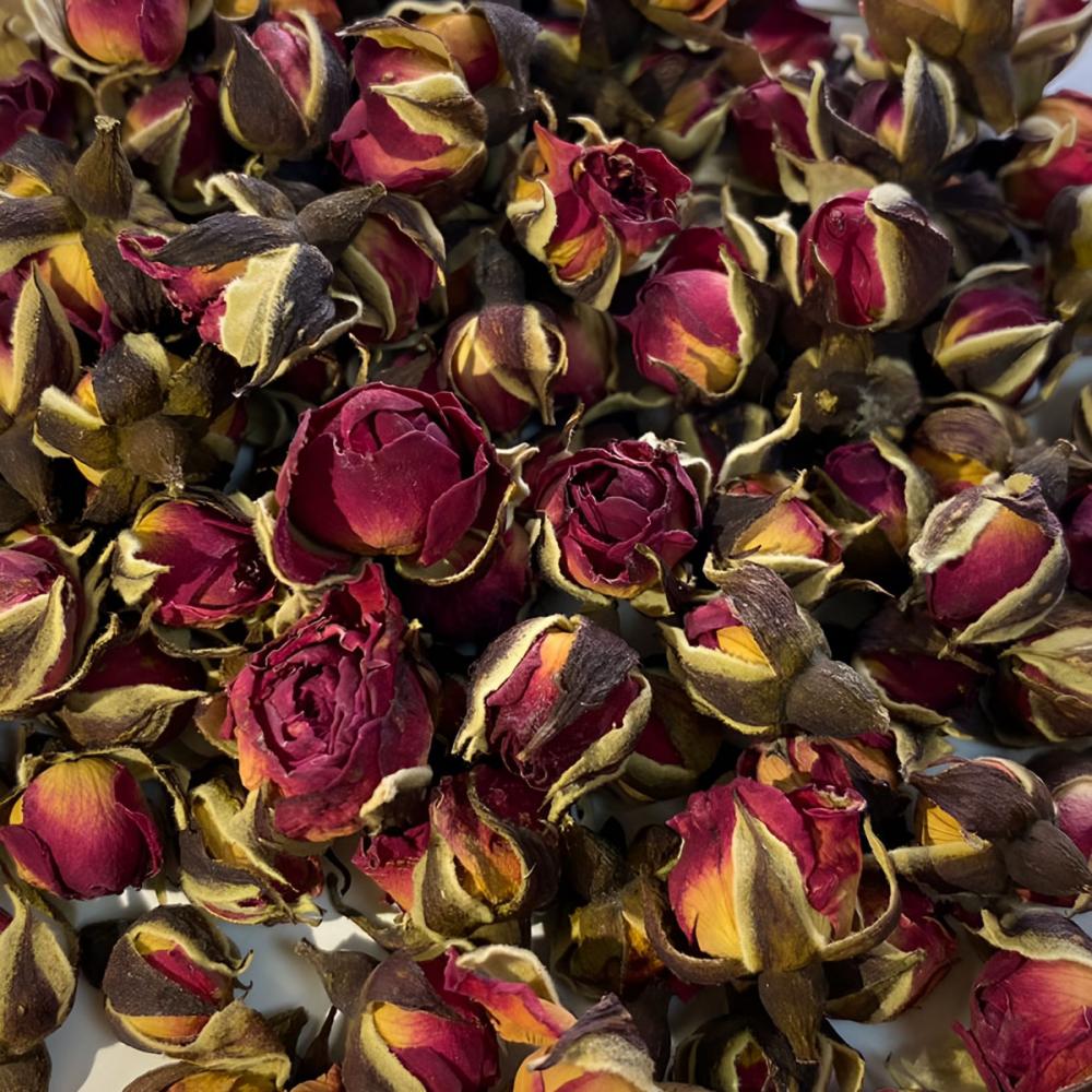 Роза юньнаньская (бутоны)