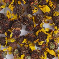 Куньлунь снежная хризантема (Тибетская ромашка)_1