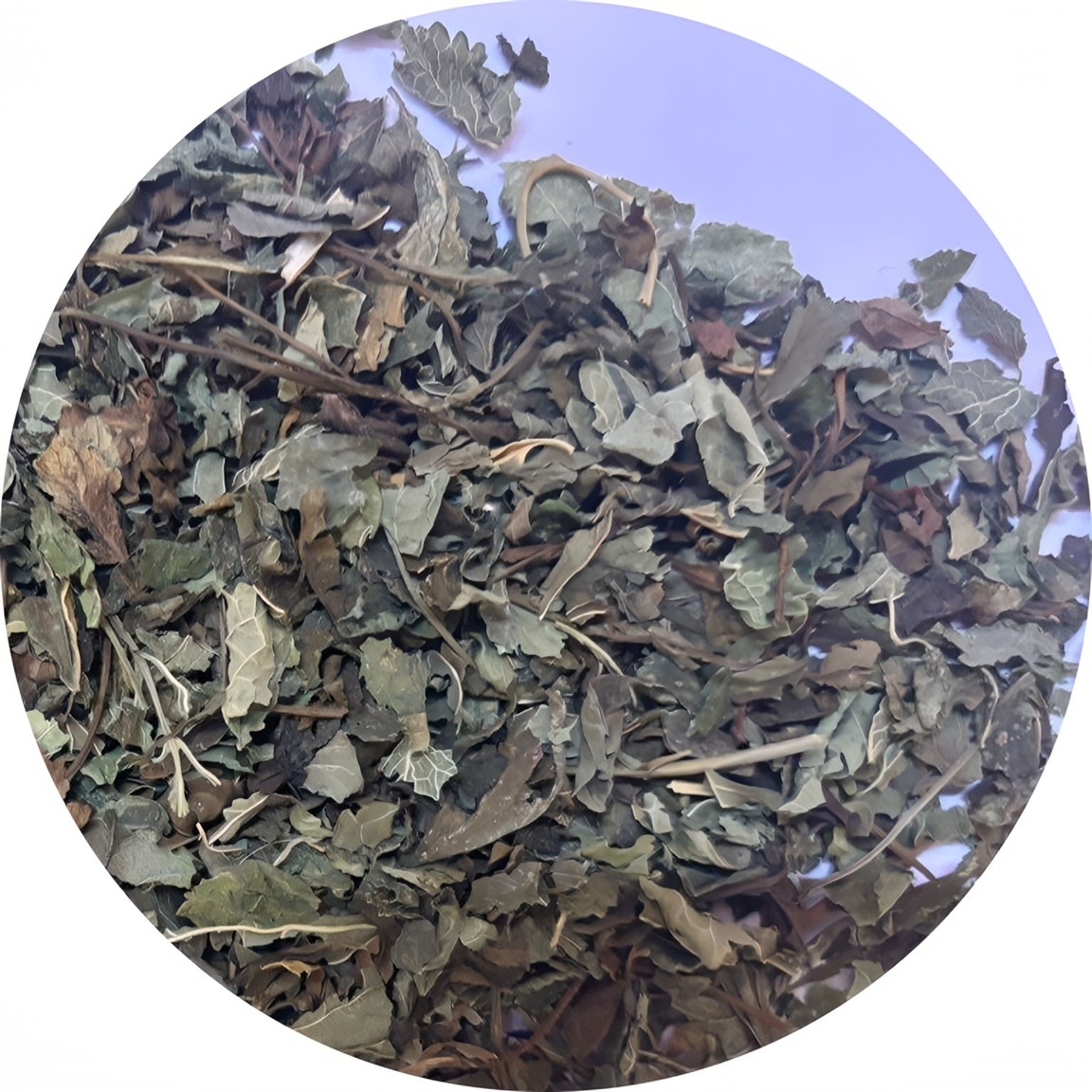 Мелисса лист