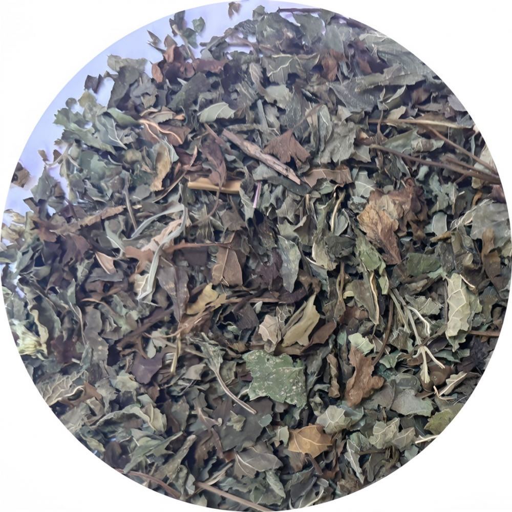 Мелисса лист