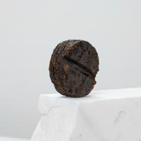 Шу Пуэр То ча Мини-фрукт_1