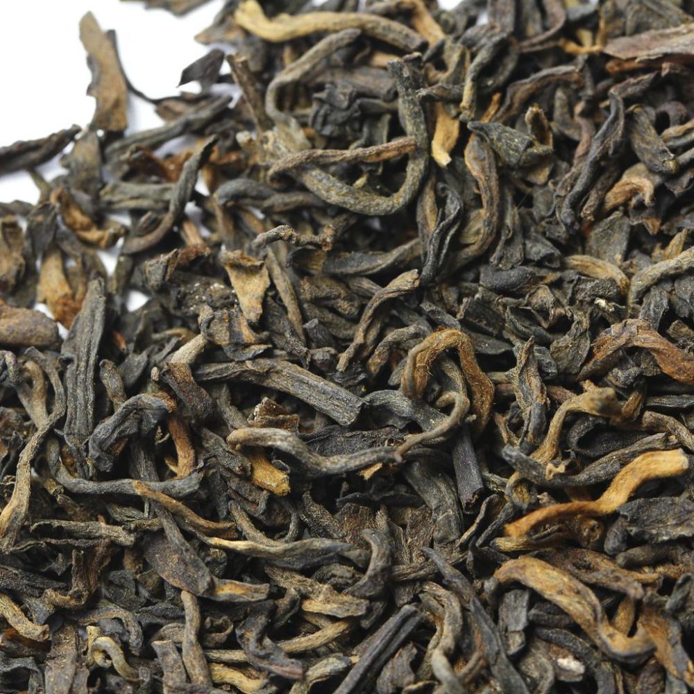 Гун Тин Пуэр многолетний